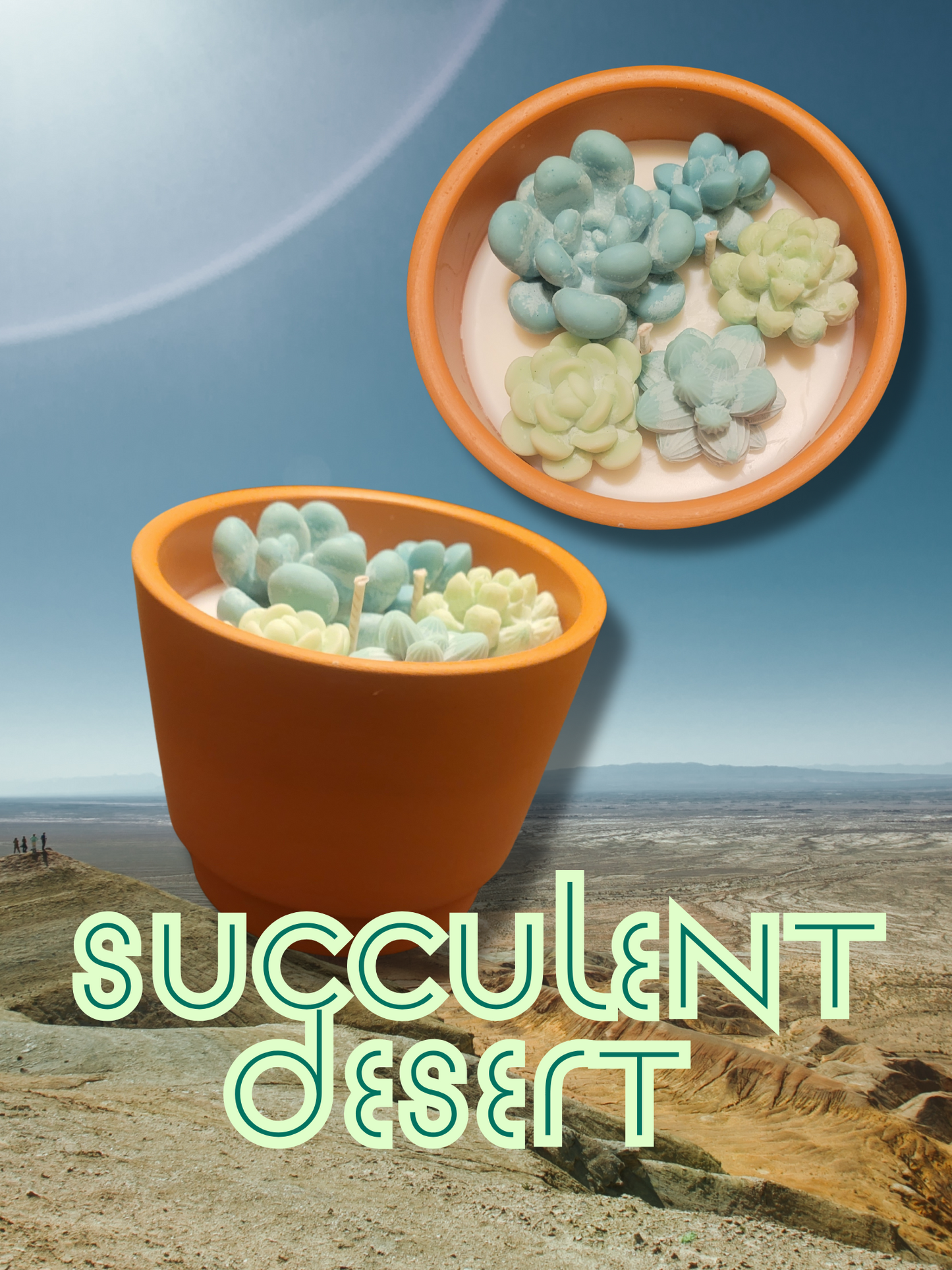 Succulent Desert- PRESALE